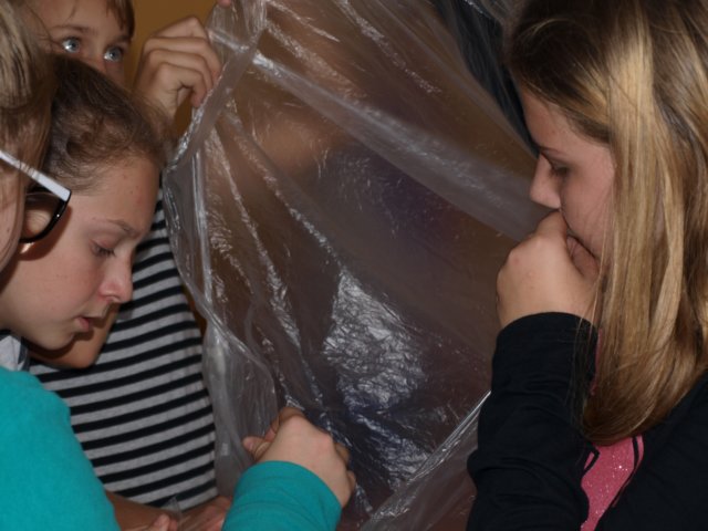 p1013951.jpg