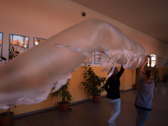 p1013977.jpg
