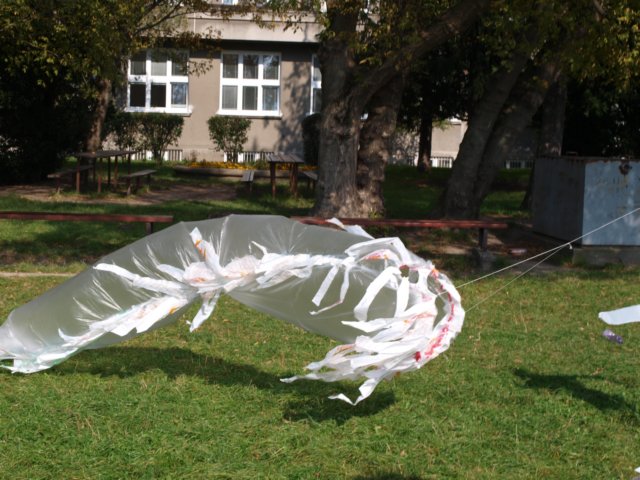 p1014028.jpg