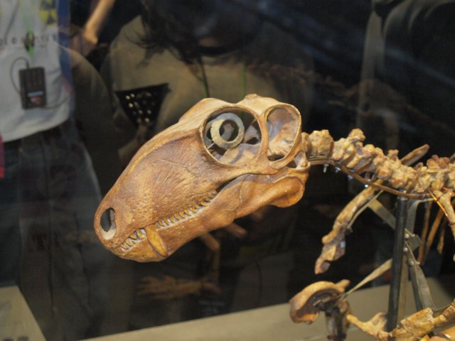 p1014219.jpg