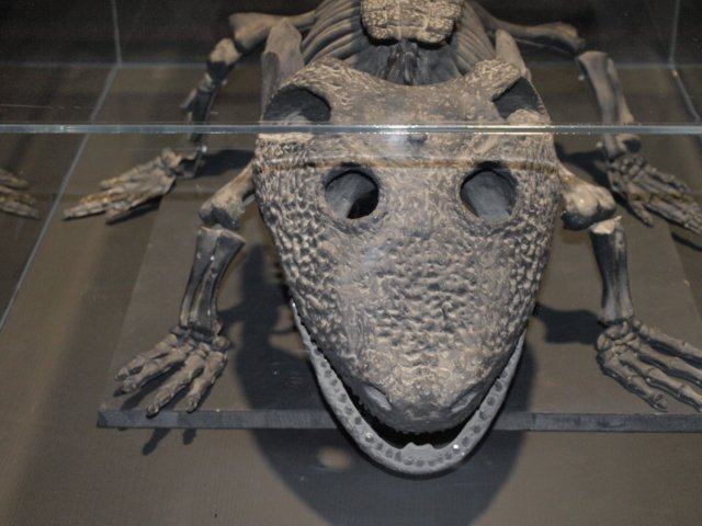 p1014229.jpg