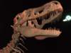 p1014263_small.jpg