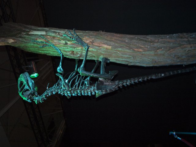 p1014301.jpg