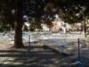 dscn6760_small.jpg