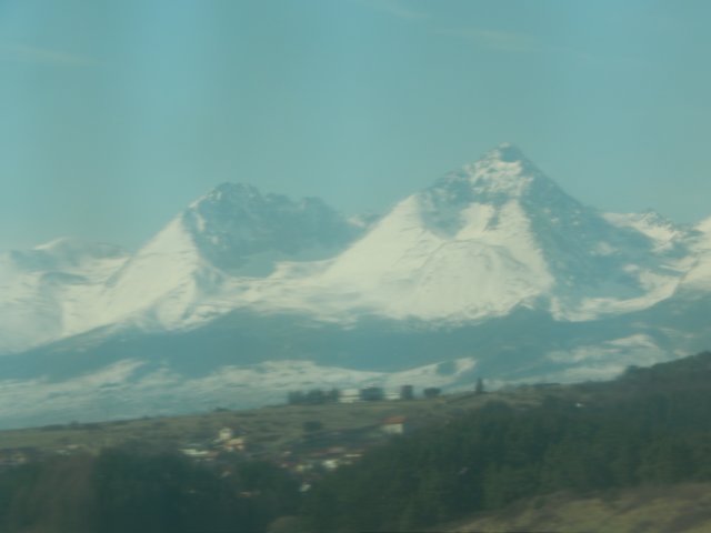 dscn6859.jpg