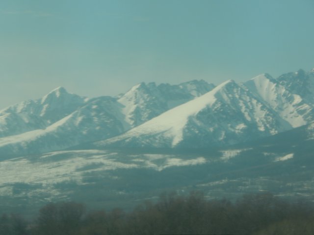 dscn6868.jpg
