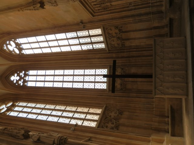 p5190154.jpg