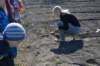 dsc_0520_small.jpg