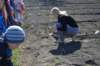 dsc_0521_small.jpg