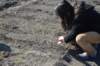 dsc_0531_small.jpg