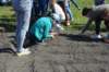 dsc_0534_small.jpg