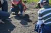 dsc_0537_small.jpg