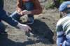 dsc_0538_small.jpg