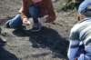 dsc_0539_small.jpg