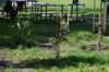 dsc_0546_small.jpg