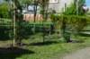 dsc_0548_small.jpg