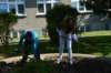 dsc_0557_small.jpg