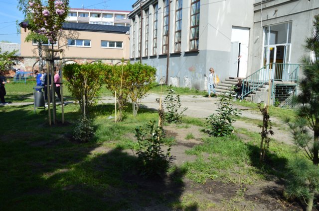 dsc_0560.jpg