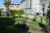 dsc_0560_small.jpg