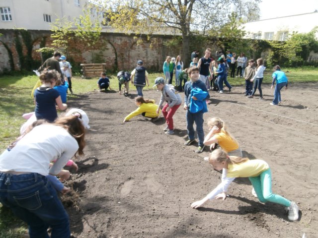 p4220044.jpg