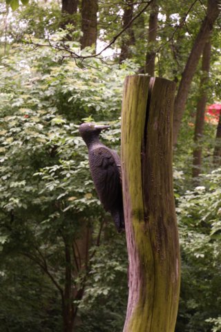img_1792.jpg