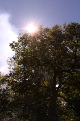 img_1871.jpg