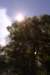 img_1871_small.jpg