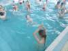 img_20160603_141648_small.jpg