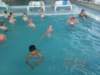 img_20160603_141709_small.jpg