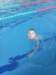 img_20160603_144736_small.jpg