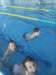 img_20160603_144740_small.jpg