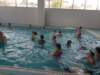 img_20160603_150009_small.jpg