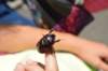 dsc_2029_small.jpg
