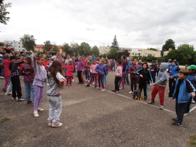 p5300048.jpg