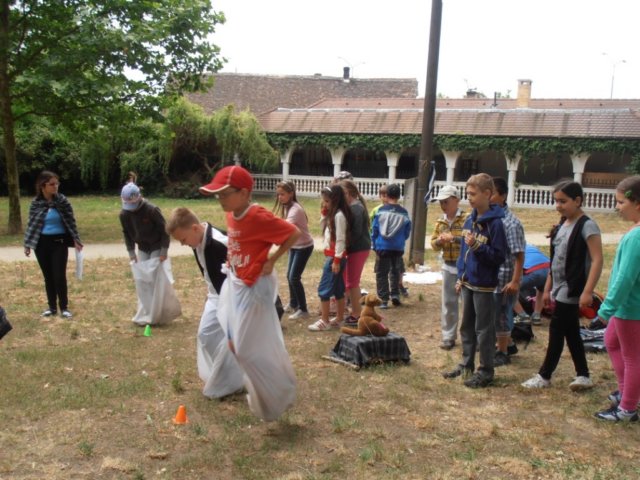 p6240088.jpg