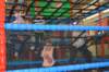 dsc_0624_small.jpg