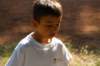 img_2723_small.jpg