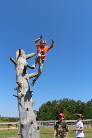 img_2796.jpg