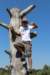 img_2800_small.jpg