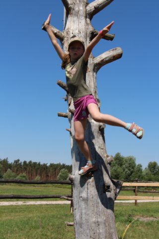img_2807.jpg
