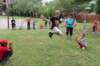 img_3148_small.jpg