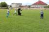 img_3490_small.jpg