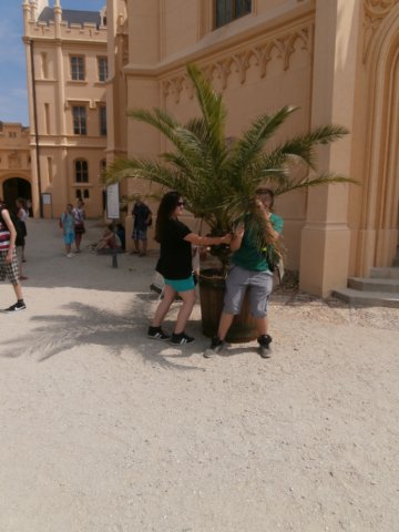 p6190160.jpg