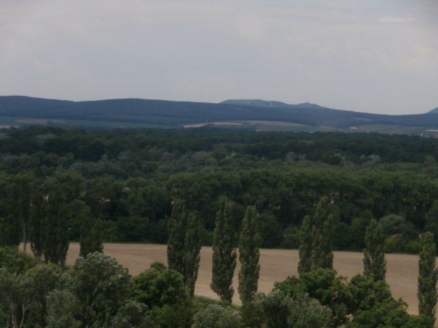 p6190183.jpg
