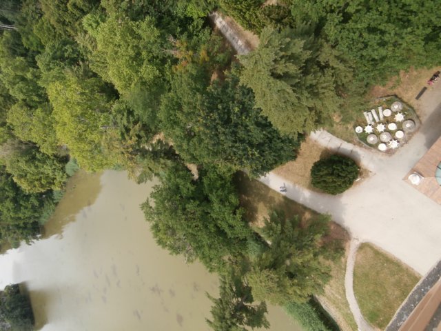 p6190185.jpg