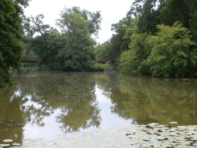 p6190200.jpg