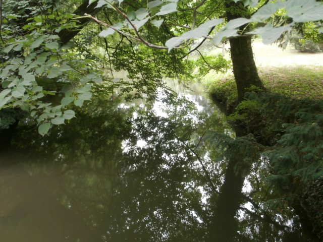 p6190203.jpg