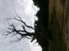 p6190266_small.jpg