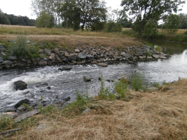 p6190271.jpg