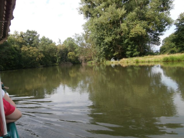 p6190284.jpg